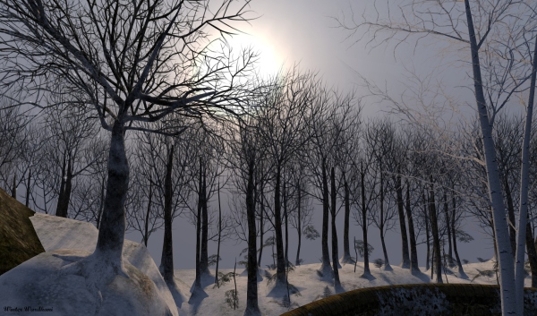 Hanaya-Winter Landscape