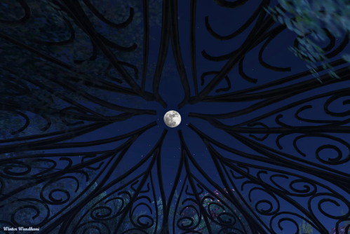 Moon from the gazebo
